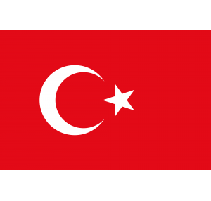 Türk Bayrağı 15x22
